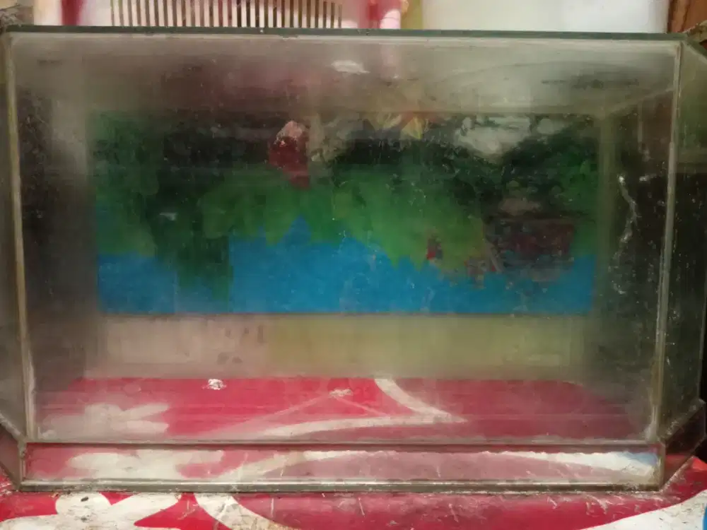Jual Aquarium second