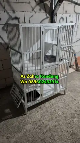 Kandang hollow kucing dan iguana