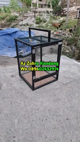 Kandang kucing dan iguana ready