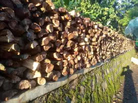 Kayu karet bakar super