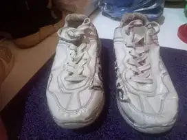 Gucci costum non ori