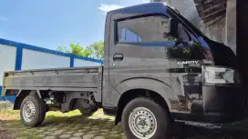 Suzuki Carry Pick Up PS