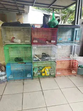 Kandang burung atau kucing