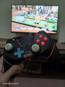 Nintendo switch controller 3rd pary