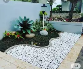 Tukang Taman dan kolam semarang