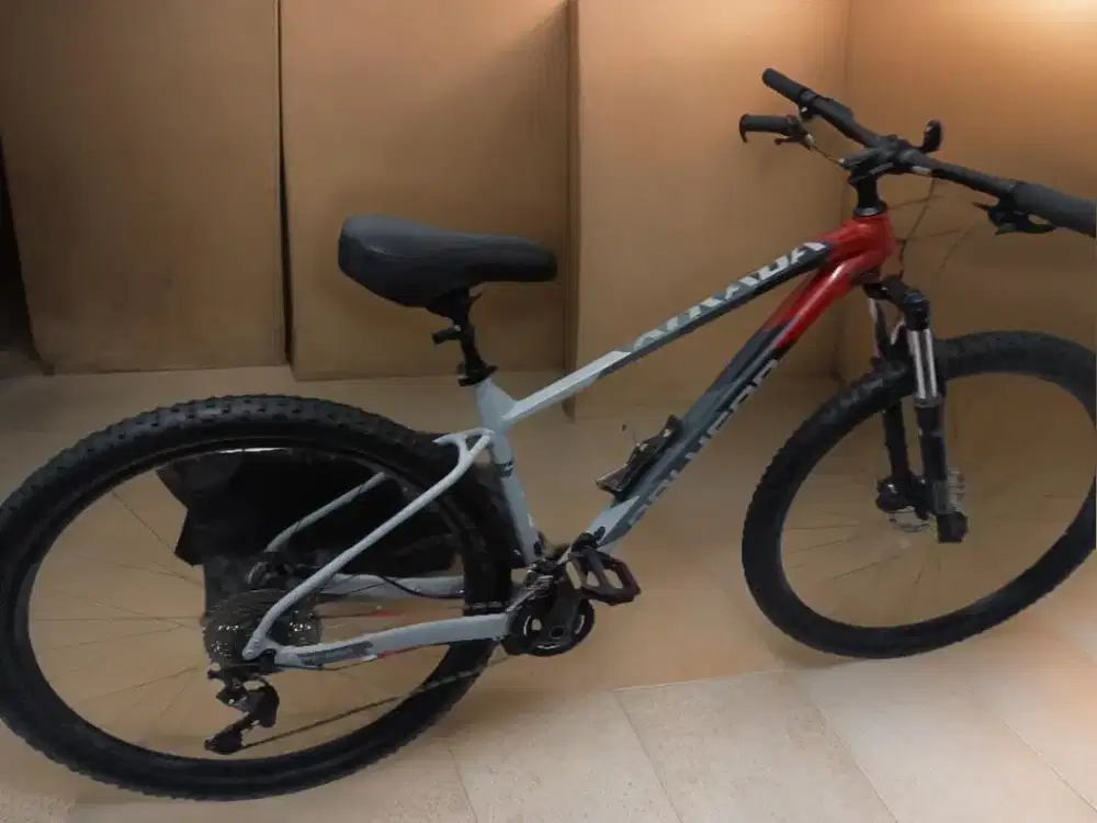 Polygon Sepeda MTB Xtrada 5 Size L