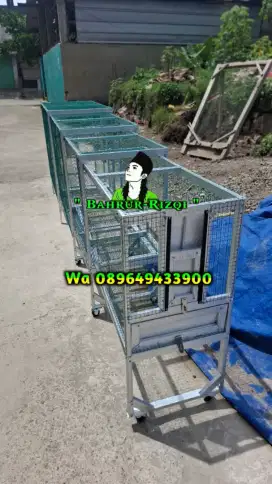 Keparan umbaran murai
