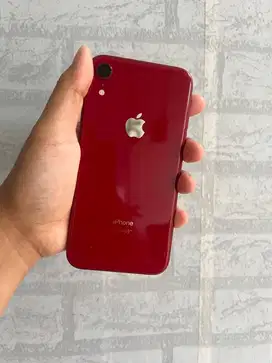 Iphone XR 128 GB ibox