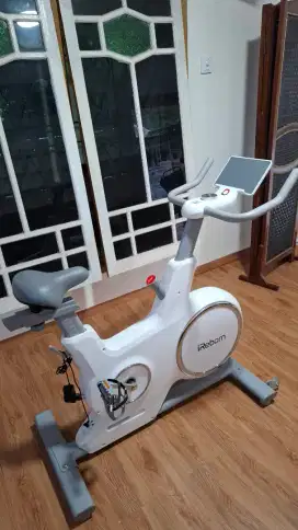 Alat Fitness Sepeda Statis Spin Bike iReborn Revo