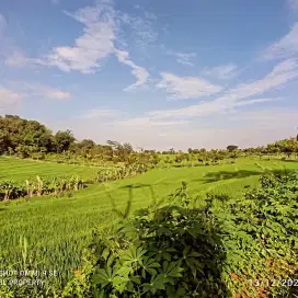 Dijual Tanah Murah Jumantono Karanganyar view hamparan sawah