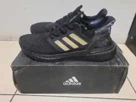 Adidas Ultraboost 20 Running ( BNIB )