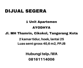 Dijual Cepat 1 Unit Apartemen Ayodhya