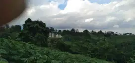 Dijual Kebun nempel jaln raya