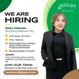 Sales Executive In-house