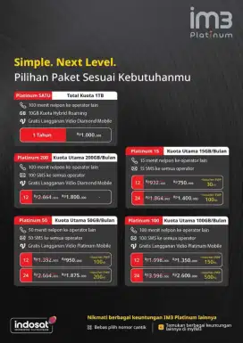 INDOSAT PLATINUM 100/24 BULAN