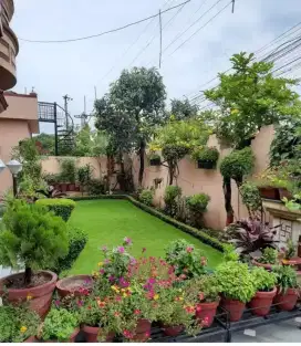 TUKANG TAMAN || JASA PEMBUATAN DAN PERAWATAN TAMAN