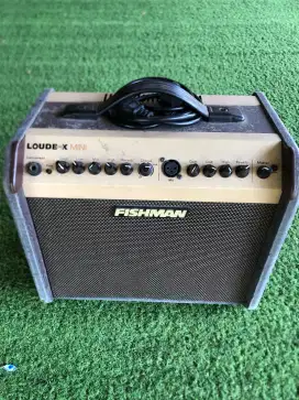 Ampli Fishman loudbox mini
