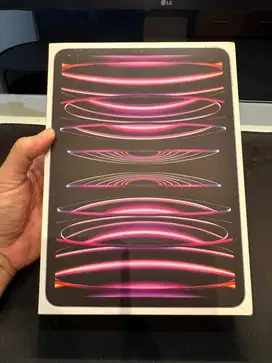 Ipad 11pro M2 256GB Wifi only