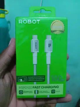 Charger robot 100w