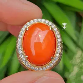 Batu Mulia Natural RED Coral Marjan Jumbo Asli NTE 12.73 Ct Certified