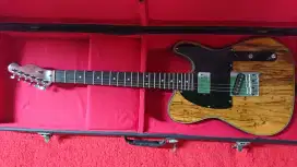 Tele Spalted Maple