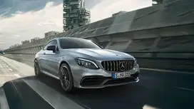 Front Grille AMG GT Mercedes Benz W205