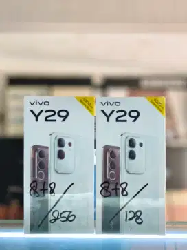 Vivo Y29 8+8/256 (new)