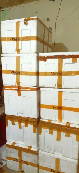 Box Styrofoam bekas