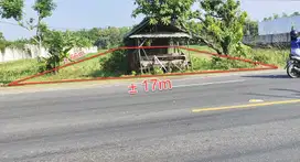 Dijual BU Tanah Produktif SHM tepi jalan Babat-Tuban