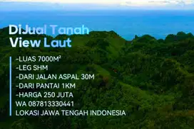 DIJUAL TANAH MURAH DEKAT PANTAI LUAS 7000M² HARGA 250 JUTA