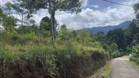 Dijual Murah Tanah 8168 m2 Kebun Manggis + Cengkeh Bojong Purwakarta