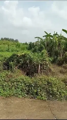 Tanah Langka di Ubud dengan View Sawah Cocok untuk Villa