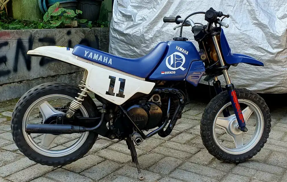 PW50 motor mini th2000