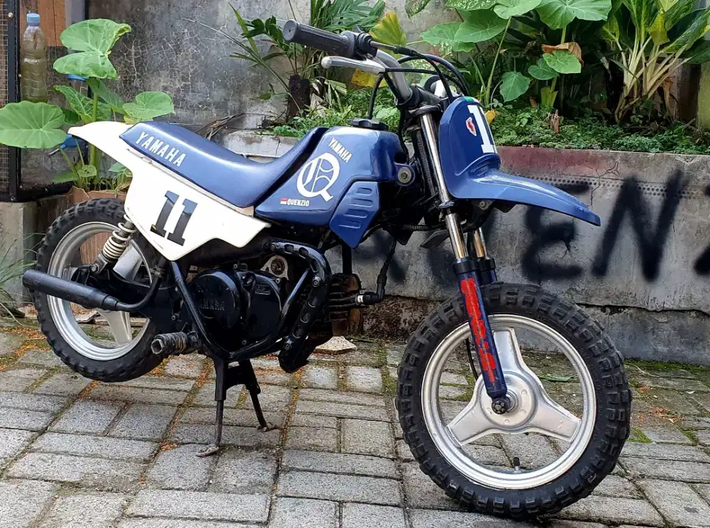 PW50 motor mini th2000