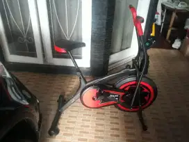 Sepeda fitnes platinum bike statis