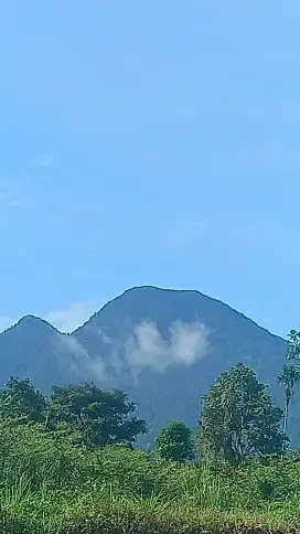 Over lahan cepat siap naik sertifikat dekat pure agung bogor