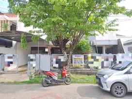 Disewakan Rumah  Klampis Indah