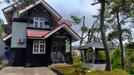 Villa Mewah di Kota Bunga Cipanas Suasana Asri