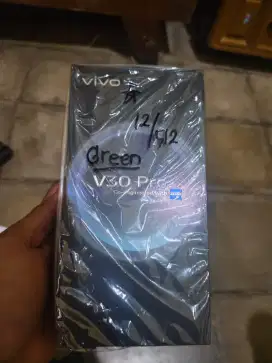 Vivo V30 Pro 12/512 Green