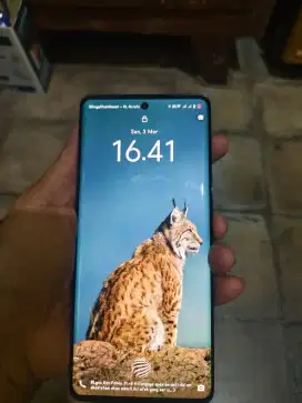 Vivo V30 Pro 12/512 Green