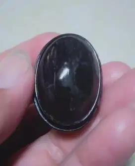 Batu fosil kelor