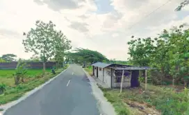 LAHAN STRATEGIS JATEN SURUH KALANG KARANGANYAR.