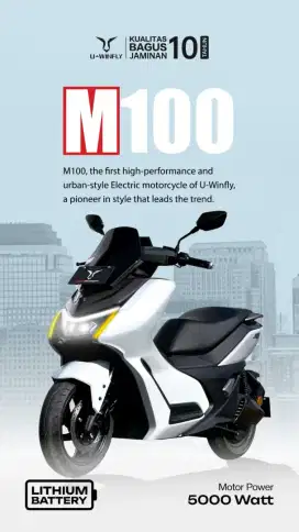 Molis Uwinfly M100 New