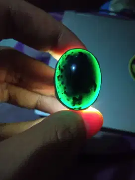 Bacan Doko Coklat Totol Lawas