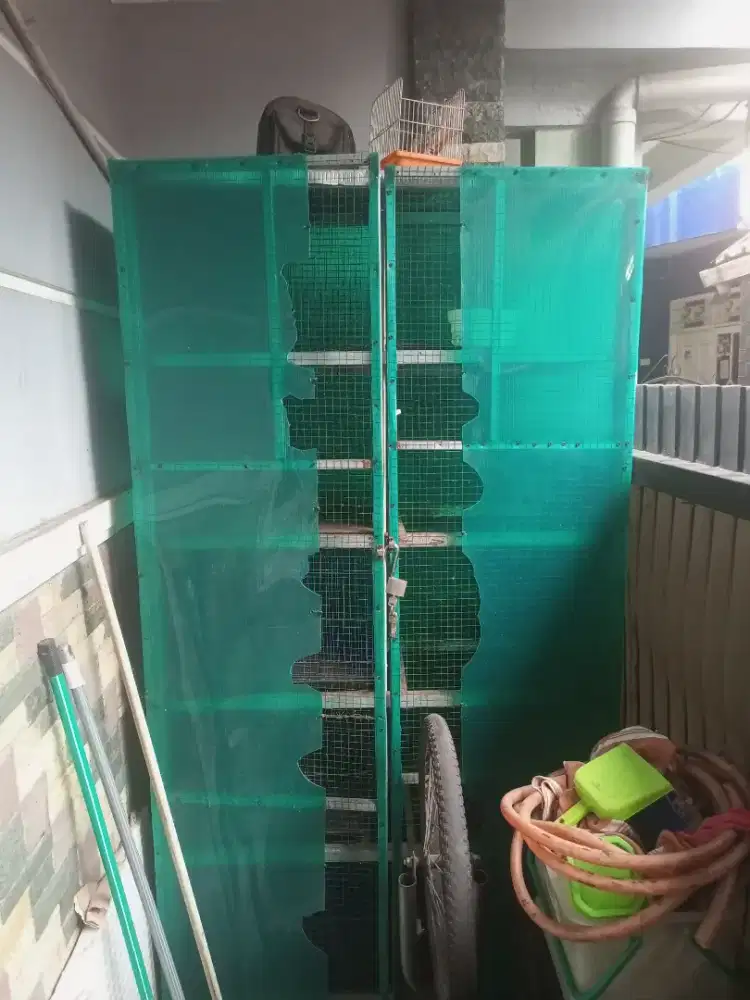 KADANG BUAT SUGARGLIDER ATAU BURUNG