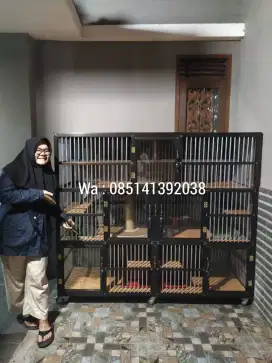 Kandang kucing yang memberikan kenyamanan maksimal buat si meow