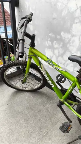 Jual Sepeda Polygon Junior 20