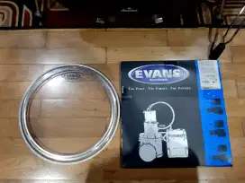 Skin head Evans 14 ecr resonant clear TT14ecr Usa