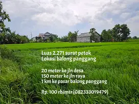 Tanah sawah dekat pasar balong panggang