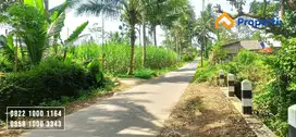 Invest Tanah Sawah di dekat Wisata Sumber Jenon Tajinan Kabupaten Mal